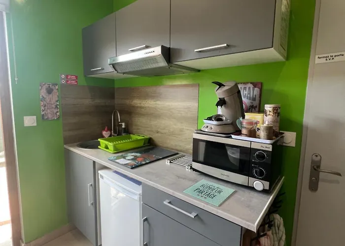 Au Nid'opale Apartment